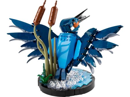 10331 | LEGO® ICONS™ Kingfisher Bird Online now