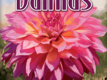 Bohnanza: Dahlias on Sale