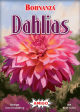 Bohnanza: Dahlias on Sale