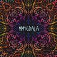 Amygdala Online